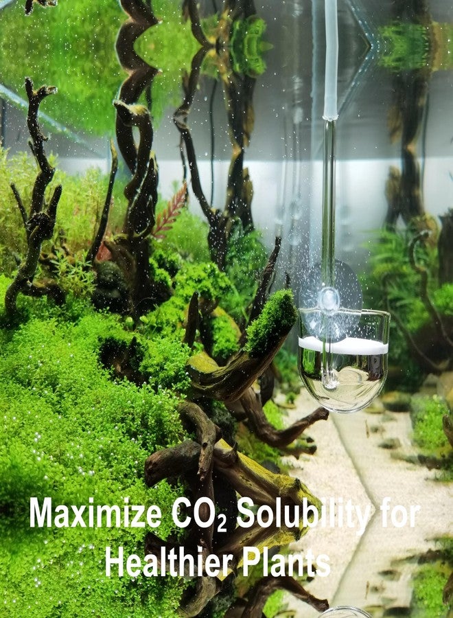 JARDLI Music Glass CO2 Diffuser for Aquarium Plant (2'' for Tank Beyond 75 gallons) - Image 3